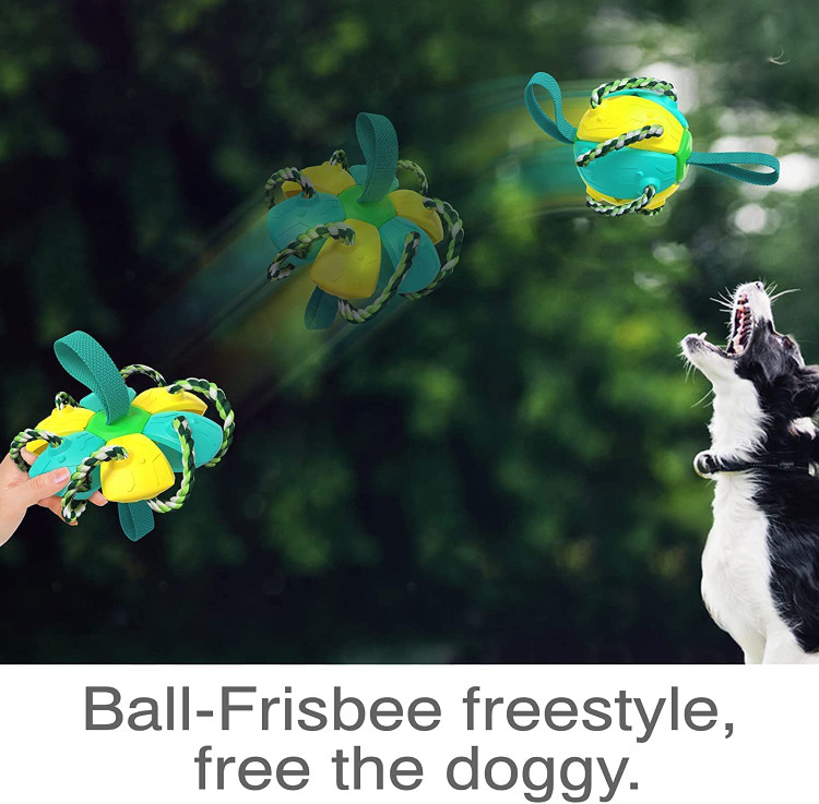 این یک اسباب بازی سرگرم کننده تعاملی چند منظوره برای صاحبان و حیوانات خانگی است