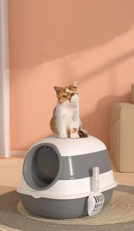 سفارشی برای گربه ها، بدون شن و ماسه در توالت، طراحی پوشش باز، شن و ماسه با بیل آسان.