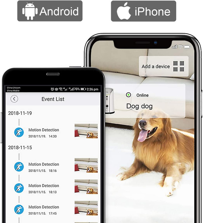 خوراکیهای مورد علاقه سگ خود را پرتاب کنید (اندازه پیشنهادی 0.6 سانتیمتر تا 1.1 سانتیمتر) و با آن بازی کنید