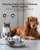 آبخوری حیوانات خانگی از جنس استنلس استیل با پمپ آرام، 2 لیتر/67 اونس نوشیدنی را تشویق می کند و آنها را سالم نگه می دارد برای گربه و سگ، برای چندین حیوان خانگی