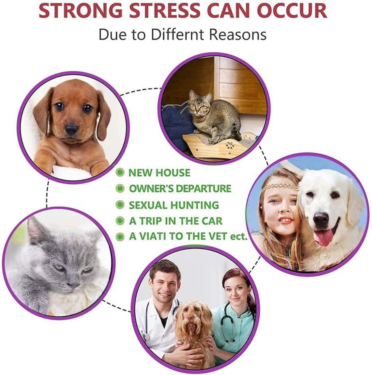 کیسه درزگیر را 15 دقیقه قبل از استفاده از قلاده باز کنید، زیرا ممکن است عطر بیش از حد قوی باشد.