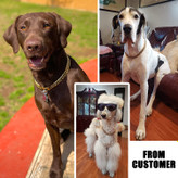 فولاد ضد زنگ با کیفیت بالا مقاومت بالایی در برابر زنگ زدگی، خوردگی و کدر شدن دارد که به حداقل تعمیر و نگهداری نیاز دارد. فولاد ضد زنگ یکی از سازگارترین فلزات زیستی است.