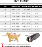 یک ماجراجویی شگفت انگیز زمستانی در فضای باز را با سگ خود شروع کنید