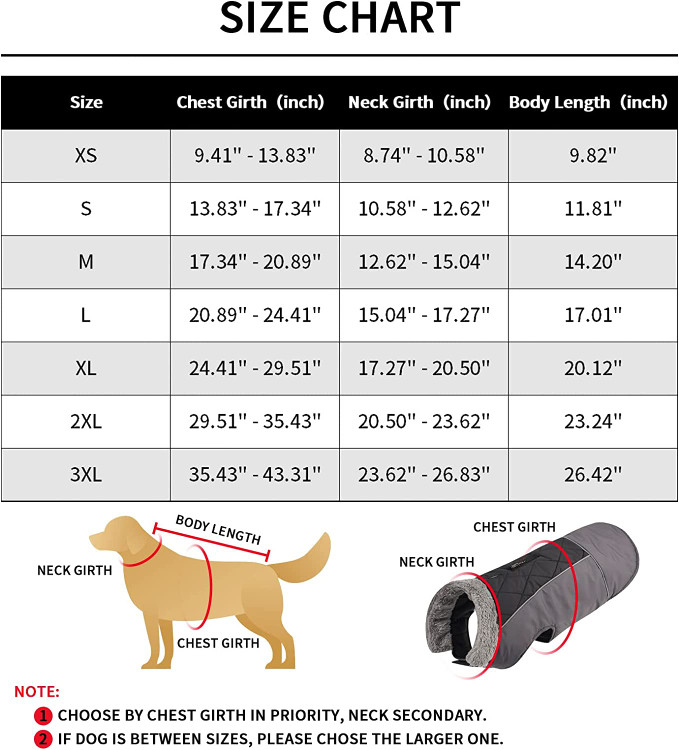 یک ماجراجویی شگفت انگیز زمستانی در فضای باز را با سگ خود شروع کنید