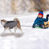طوری طراحی شده اند که سگ ها را در هر اندازه در شرایط سرد گرم و خشک نگه دارند
