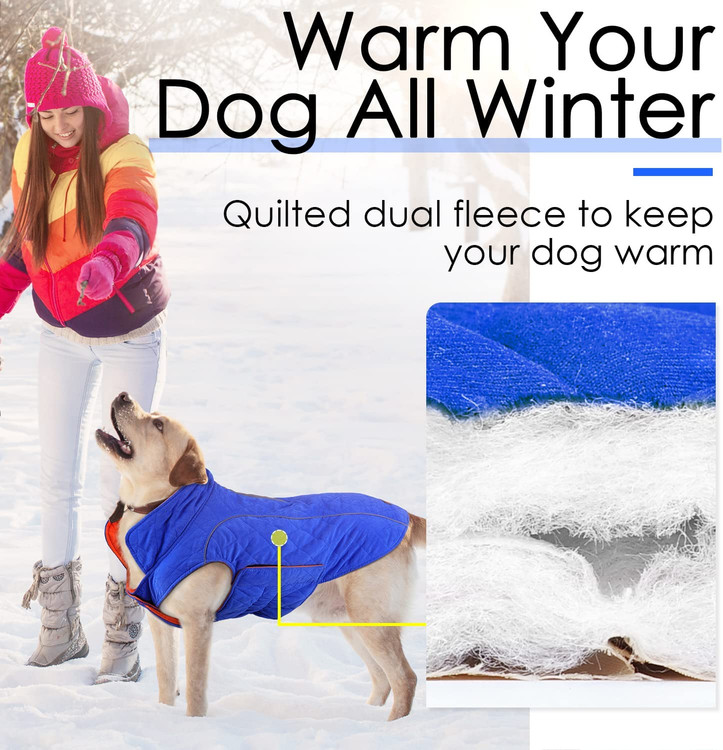 کت سگ XL - اندازه دور سینه XL 59-64 سانتی متر، طول پشت 39 سانتی متر، با اندازه گیری قفسه سینه در اولویت انتخاب کنید، مناسب برای سگ های توله سگ.