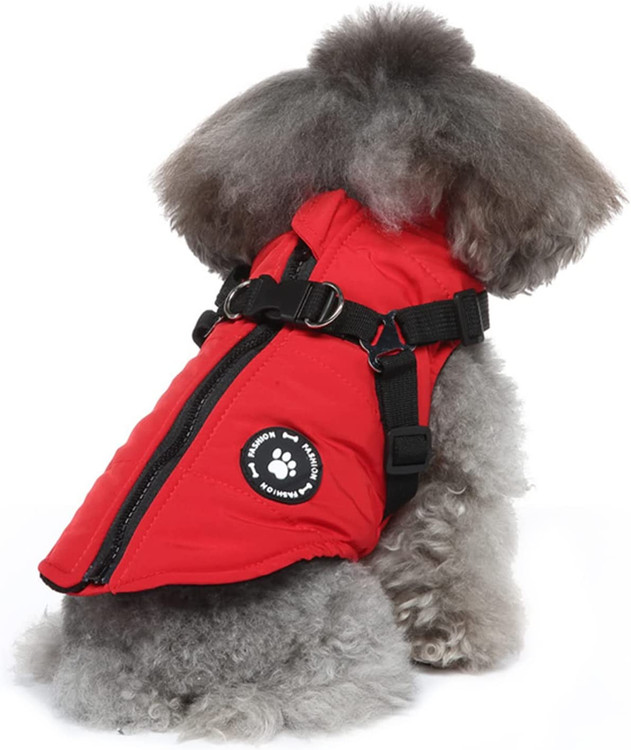 حیوان خانگی شما را شیک تر و محبوب تر می کند، در هوای سرد برای حیوان خانگی شما گرم و راحت نگه می دارد.