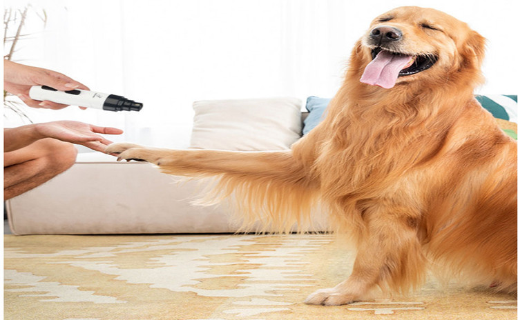 به سادگی پورت مناسب را انتخاب کنید و سرعت بسته به اندازه و سختی ناخن حیوان خانگی شما. از آسیاب صاف و سریع ناخن های سگ های گربه خود اطمینان حاصل کنید