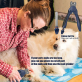 می توانید آن را با کامپیوتر، پاور بانک، شارژر ماشین شارژ کنید. ایده آل برای فروشگاه نظافت حیوانات خانگی یا استفاده در خانه.