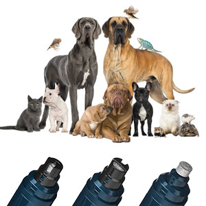 هر آسیاب دارای یک باتری داخلی است که پس از 3 ساعت شارژ 2 ساعت دوام می آورد. طراحی بدنه سبک و ارگونومیک نیز باعث میشود تا در دست راست یا چپ راحتتر از آن استفاده کنید.