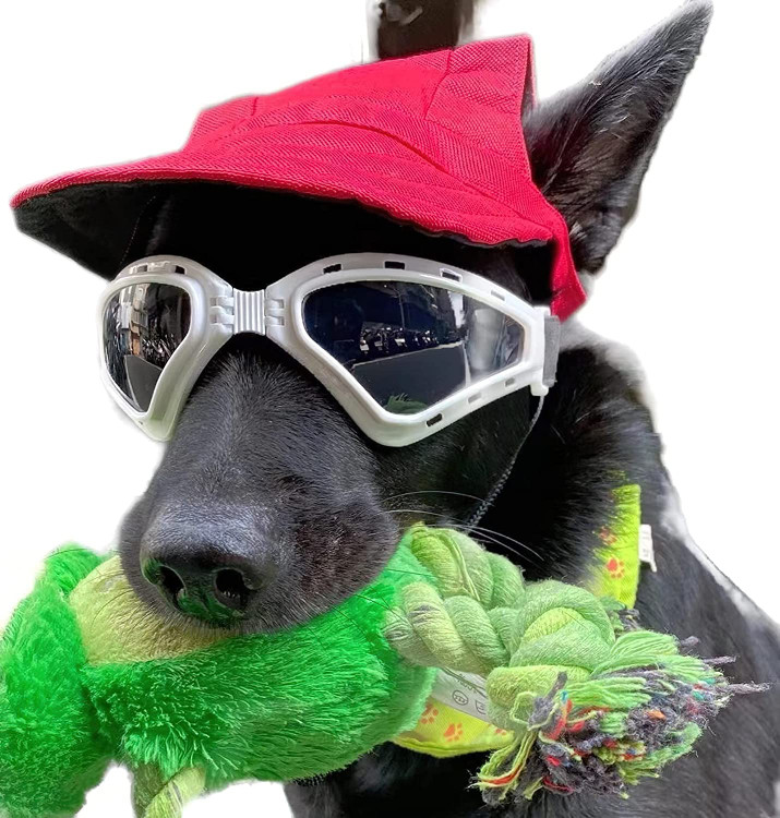 لباس کلاه آفتابگیر محافظ حیوان خانگی در فضای باز قابل تنفس برای توله سگ، کلاه ورزشی سگ بند کشی قابل تنظیم برای سگ های کوچک متوسط بزرگ