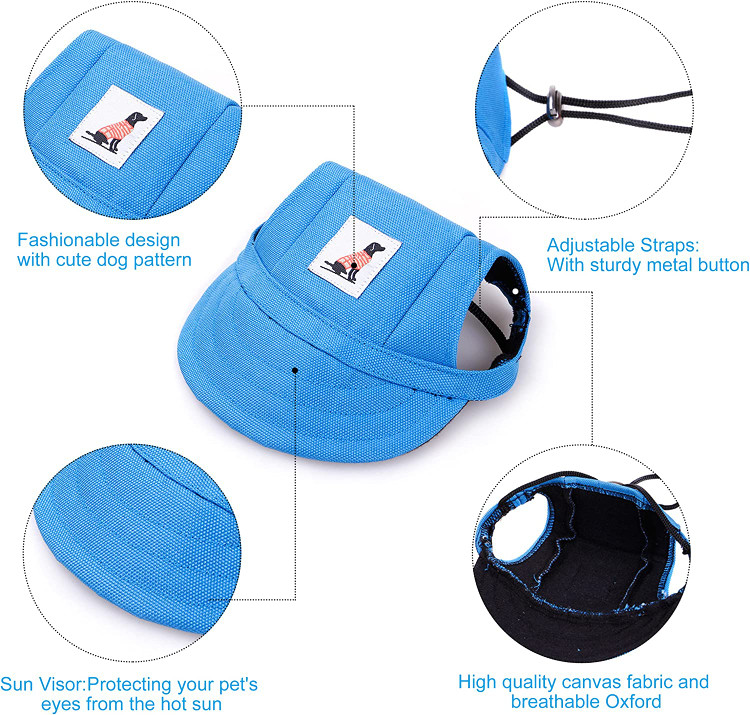لبه کلاه بیسبال سگ می تواند از چشم سگ شما در برابر نور مستقیم خورشید محافظت کند و عینک آفتابی سگ می تواند از آسیب اشعه ماوراء بنفش به چشم سگ شما جلوگیری کرده و آن را مسدود کند