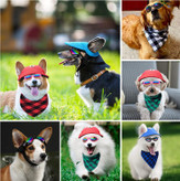 در عین حال، عینک آفتابی سگ نژاد کوچک نیز از چشمان حیوان خانگی شما در برابر برف، باد، گرد و غبار و مه محافظت می کند تا با شما در فضای باز لذت ببرید.