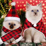 کت و شلوارهای جشن برای حیوانات خانگی با حس طراحی، حیوان خانگی شما را شیک و جذاب می کند تا نیازهای تعطیلات شما و نیازهای لباس پوشیدن حیوان خانگی شما را برآورده کند.