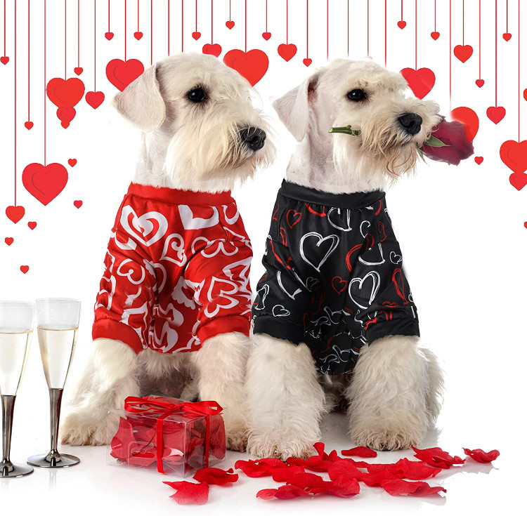 این پیژامه سگ نرم با سبک های مختلف چاپ عشقی چاپ شده است