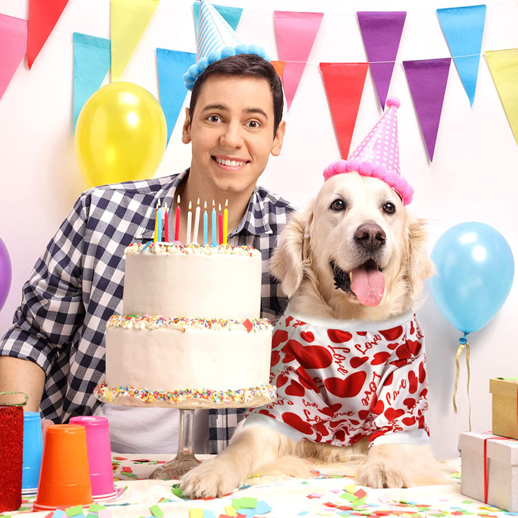 این مدل قلب عاشقانه روز ولنتاین از پلی استر نرم ساخته شده است، انعطاف پذیر، راحت و به راحتی قابل پوشیدن و درآوردن است