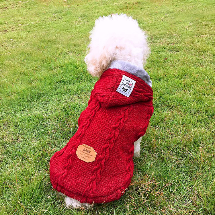 هودی های پاییزی زمستان دارای رنگ ها و اندازه های زیادی هستند که برای انتخاب های بیشتر در اختیار شما قرار می گیرد.