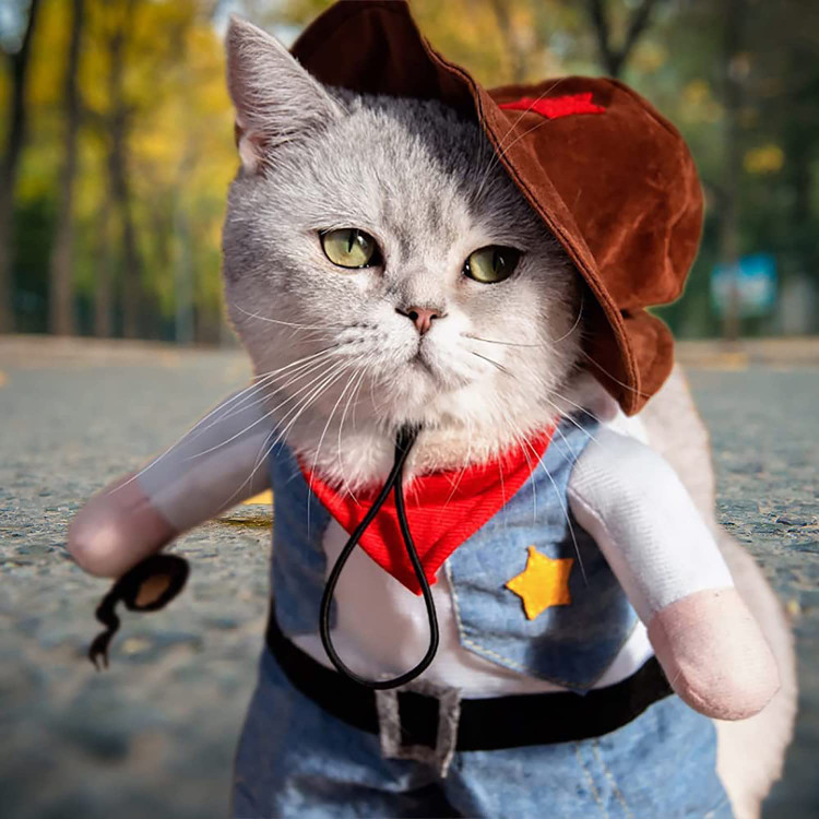 برای تناسب بهتر، یک نوار چسب در پشت لباس وجود دارد و امکان تنظیم جزئی اندازه را فراهم می کند. به سادگی قابل پوشیدن و از تن در آوردن است.