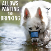 از گاز گرفتن جلوگیری می کند - مش نایلونی و لاستیکی نرم و قابل تنفس با تسمه های قابل تنظیم مناسب برای سگ های کوچک، متوسط، بزرگ و بسیار بزرگ