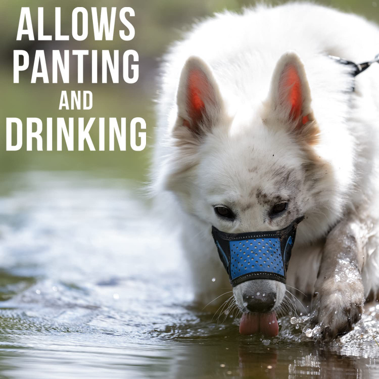 از گاز گرفتن جلوگیری می کند - مش نایلونی و لاستیکی نرم و قابل تنفس با تسمه های قابل تنظیم مناسب برای سگ های کوچک، متوسط، بزرگ و بسیار بزرگ