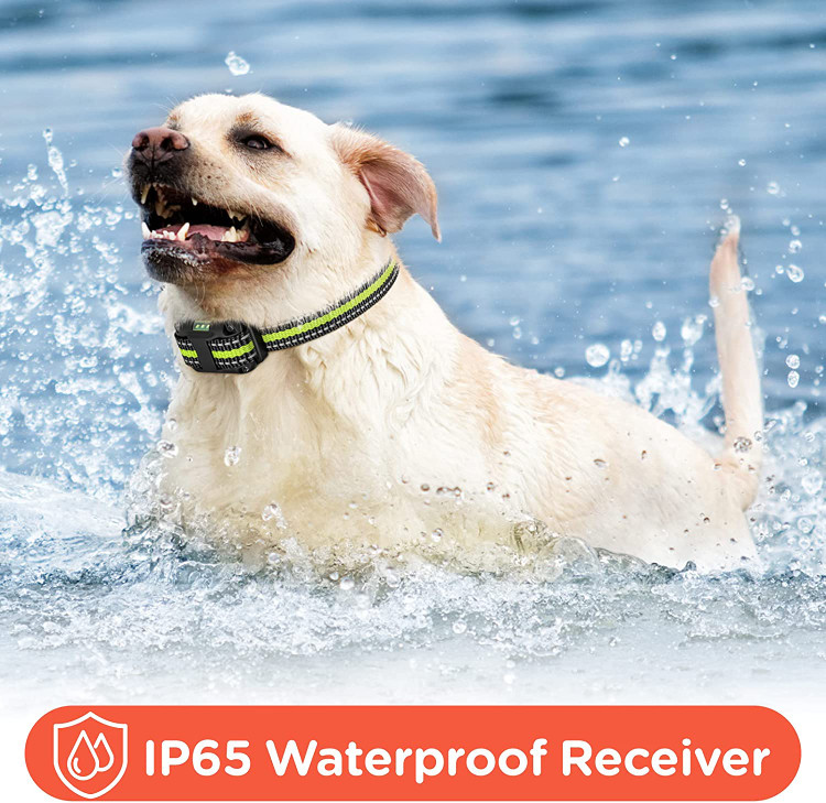 با 4 حالت آموزشی با شوک استاتیک سبک لرزش بوق