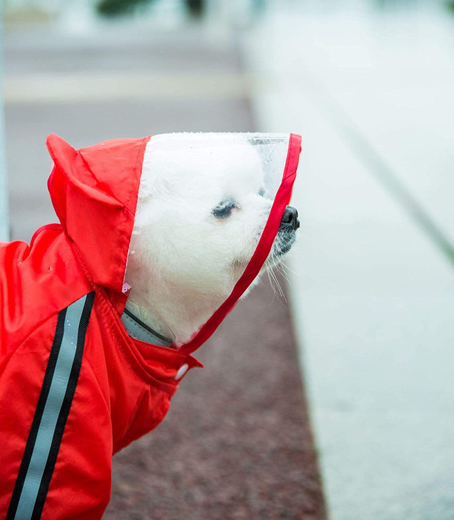 هود شفاف از باد و باران محافظت می کند اما دید را مسدود نمی کند