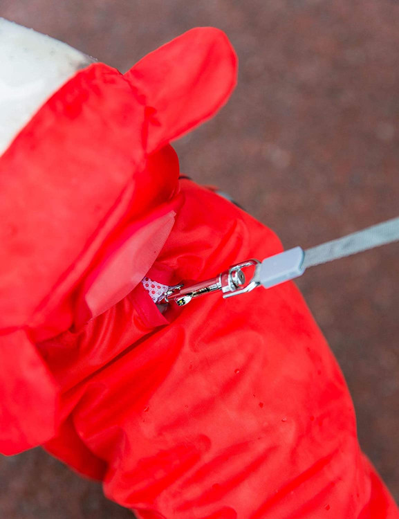 شکم خالی مانده، بر ادرار و مدفوع سگ تأثیر نمی گذارد. سه دکمه، طراحی دکمه باز، پوشیدن و برداشتن آسان