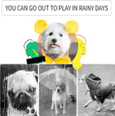 پانچوی بارانی سبک و قابل تنفس، برای کورگی، توله سگ کوچک متوسط