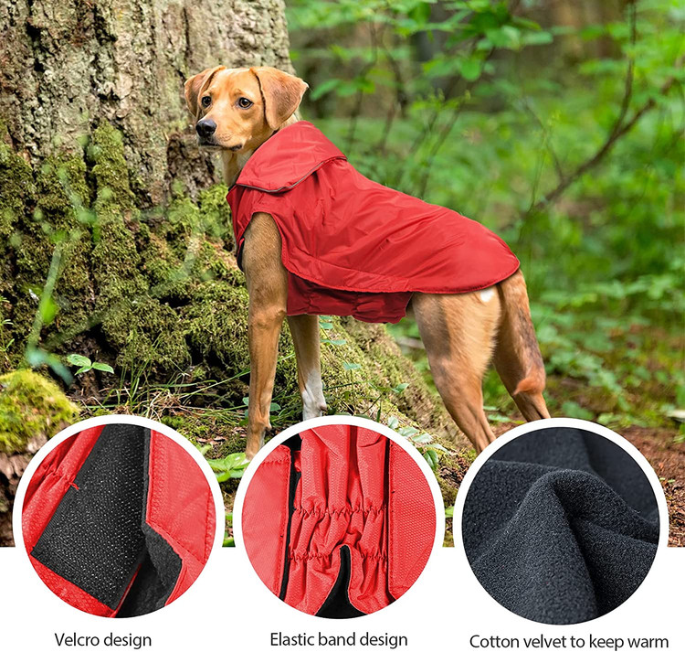 لبه انعکاسی در پشت بارانی سگ که برای بیرون رفتن با سگ خود در شب راحت است