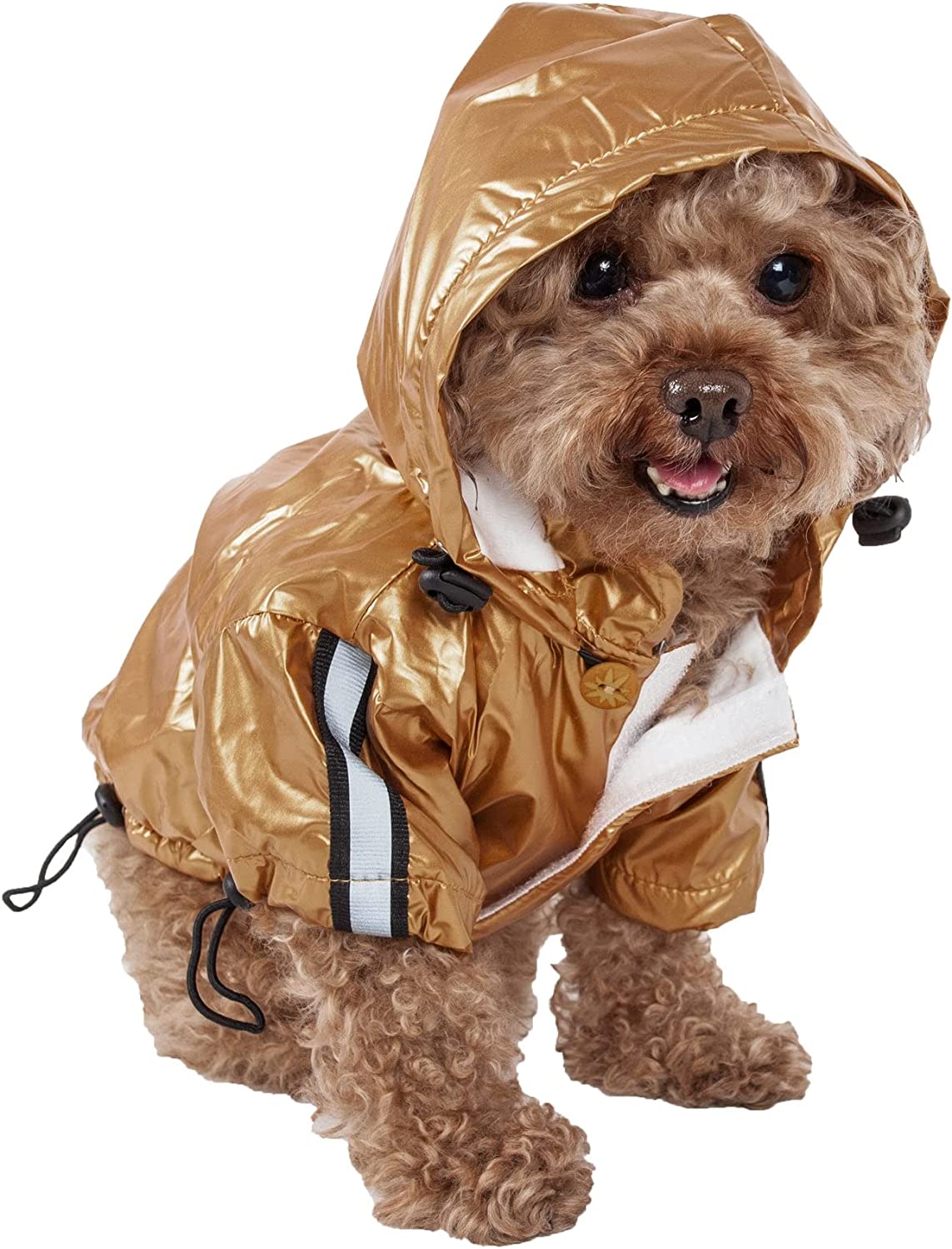 کاپیشن بارانی اسپرت سگ،  برند: Petlife بزرگ