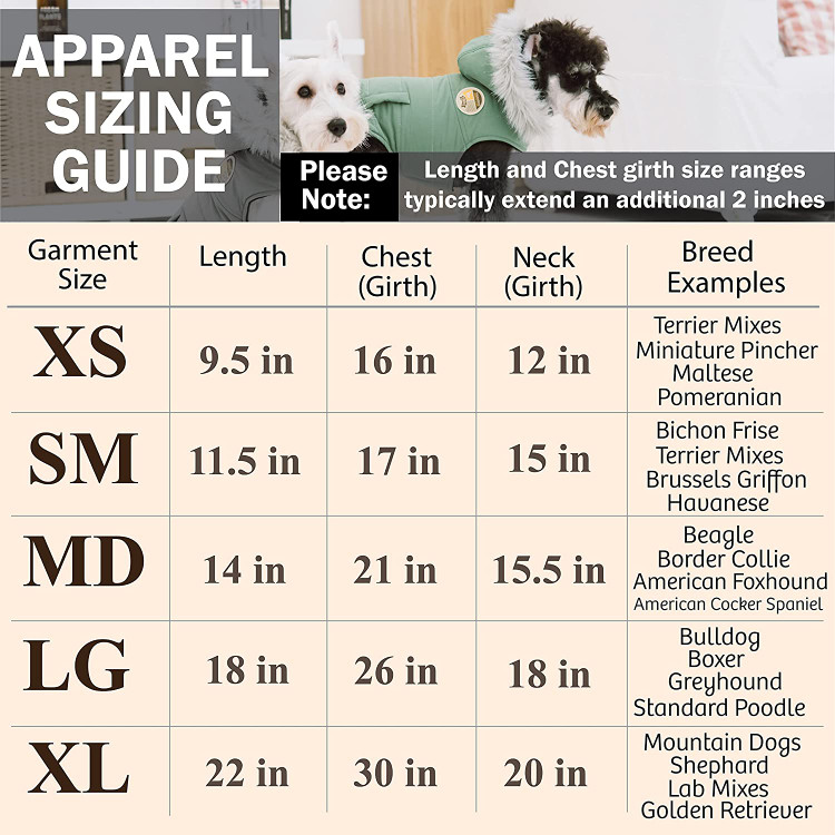 محصولات حیوان خانگی معنادار و نوآورانه