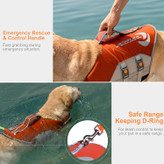 قرار دادن و جدا کردن آسان - سگک های سریع با قلاب و بست های حلقه ای برای تناسب راحت و ایمن