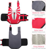 طراحی عنکبوت در پشت باعث می شود سگ های شما چشم نوازتر شوند.