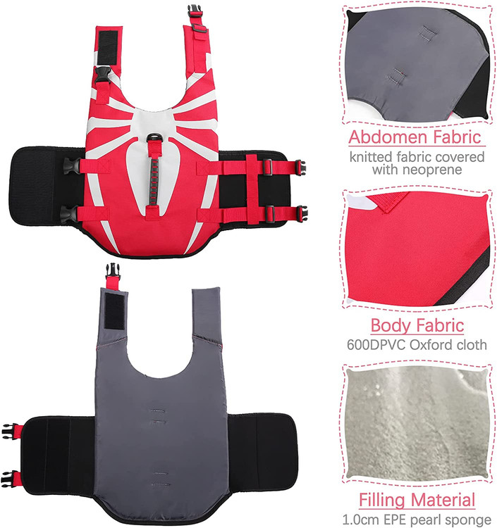 طراحی عنکبوت در پشت باعث می شود سگ های شما چشم نوازتر شوند.