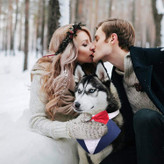 طرح تلاقی رنگ، پاپیون و دکمه های تزئینی بهترین دوست شما را بسیار شیک و شیک می کند