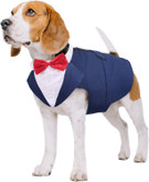 لباس عروسی سگ، پاپیون جداشدنی باندانا، پیراهن عروسی لباس رسمی سگ برای سگ های کوچک متوسط و بزرگ