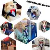 کت و شلوار رسمی برای سگ ها از 100% پنبه با کیفیت بالا، بسیار ساختار یافته، نرم، قابل تنفس، سازگار با پوست، خنک و راحت برای پوشیدن ساخته شده است.