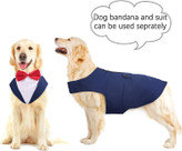 این می تواند شخصیت سگ شما را نشان دهد و توجه دیگران را به خود جلب کند.