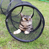 به حیوانات خانگی اجازه می دهد تا با خیال راحت از یک روز زیر نور خورشید لذت ببرند