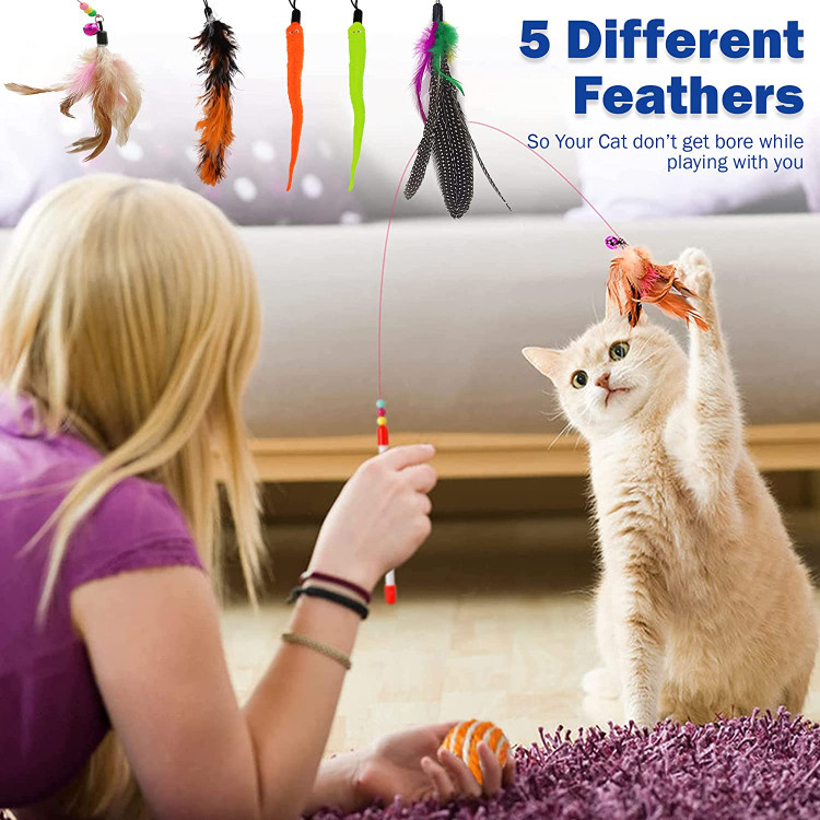 همچنین باعث آزار و اذیت مبلمان خانه نمی شود