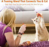 بازی به رشد فیزیکی و هماهنگی بچه گربههای جوان کمک میکند