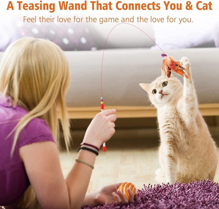 بازی به رشد فیزیکی و هماهنگی بچه گربههای جوان کمک میکند