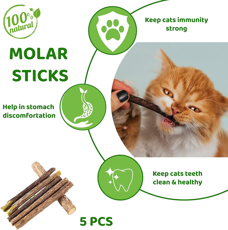 اسباب بازی های گربه 33 تکه با تونل تاشو گربه، چوب بازی گربه، اسباب بازی پرهای تعاملی، موش کرکی، توپ های چین دار و غیره.