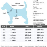 همانطور که همه می دانند قرمز و سبز رنگ های کلاسیک در روز کریسمس هستند، این روز مهم را با سگ های خود جشن بگیرید