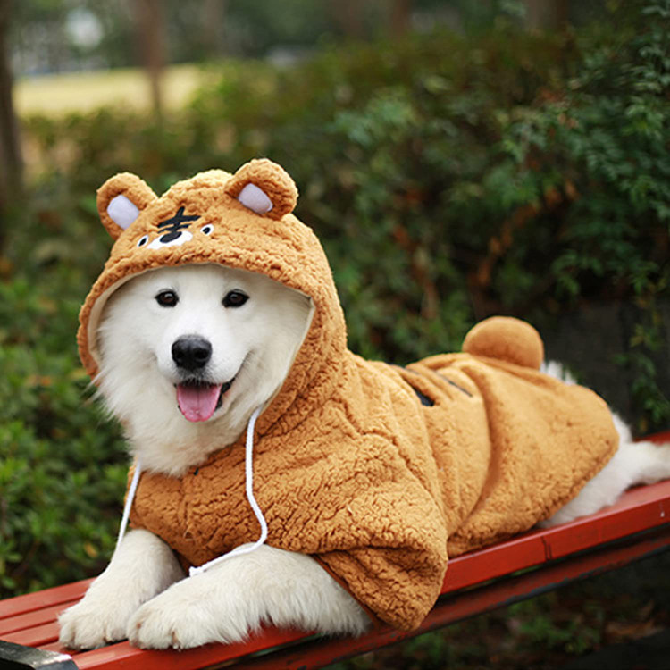 باعث شوید حیوان خانگی شما زمستانی گرم داشته باشد