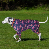 لباس خواب پیتبول نرم و سازگار با پوست است. بسیار مناسب برای چسباندن نزدیک می توان آن را به تنهایی در تابستان پوشید، یا در زمستان به عنوان زیر ژاکت زیر ژاکت استفاده کرد