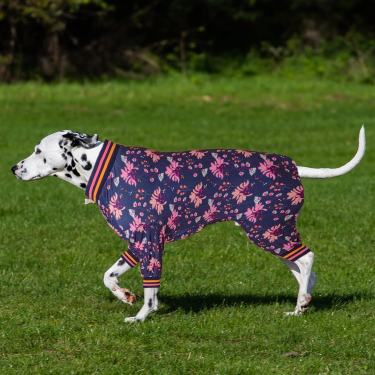 لباس خواب پیتبول نرم و سازگار با پوست است. بسیار مناسب برای چسباندن نزدیک می توان آن را به تنهایی در تابستان پوشید، یا در زمستان به عنوان زیر ژاکت زیر ژاکت استفاده کرد