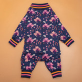 سگ بعد از جراحی onesie را می توان در داخل خانه / خارج از منزل / زمان مهمانی / مسافرت یا تعطیلات استفاده کرد