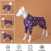 این سگ جمی از وزوز منحصر به فرد زنبورهای یقه V استفاده می کند، پرندگان طرح چاپ آبی بهار را می خوانند و گردن سگ را باریک تر می کند.