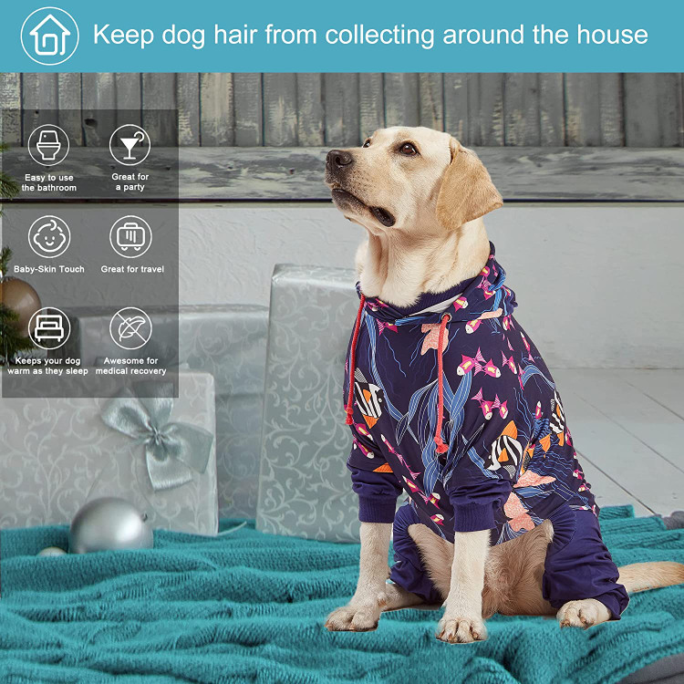 رای سگ بعد از جراحی نرم و سبک است و خاصیت ارتجاعی عالی دارد